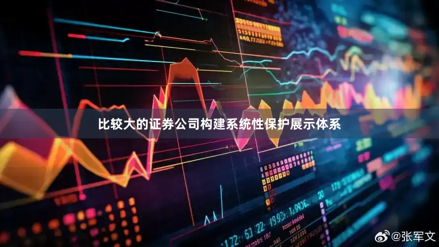 比较大的证券公司构建系统性保护展示体系