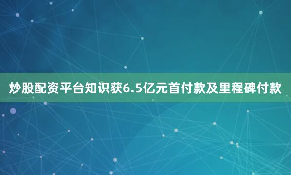 炒股配资平台知识获6.5亿元首付款及里程碑付款
