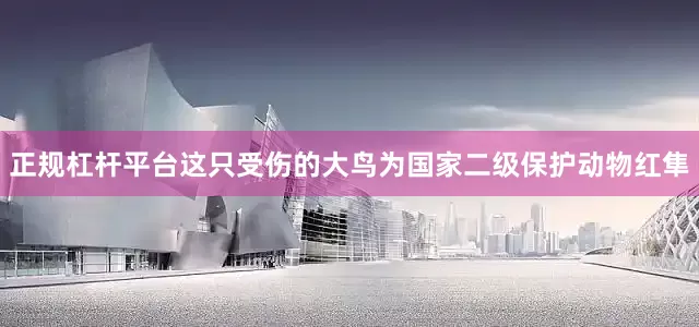 正规杠杆平台这只受伤的大鸟为国家二级保护动物红隼