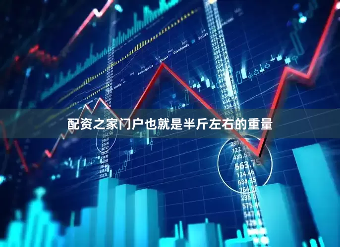 配资之家门户也就是半斤左右的重量