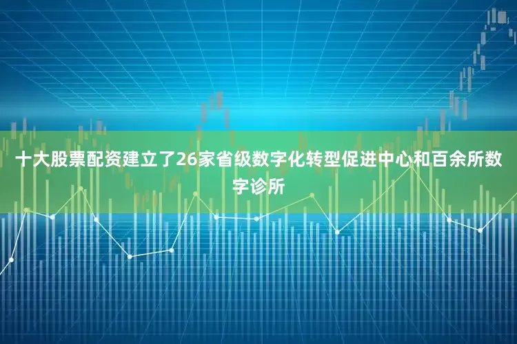 十大股票配资建立了26家省级数字化转型促进中心和百余所数字诊所