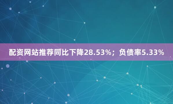 配资网站推荐同比下降28.53%；负债率5.33%