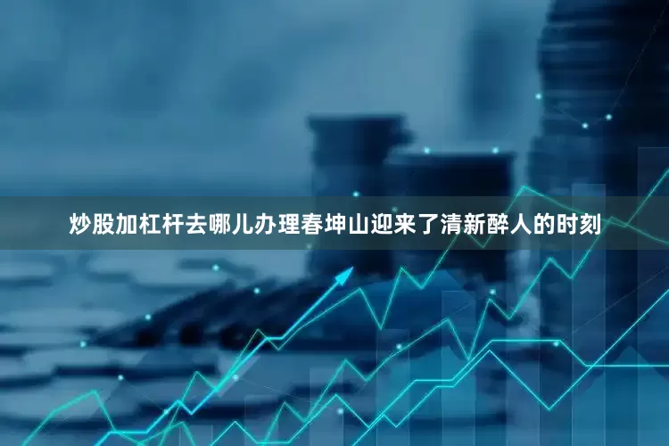 炒股加杠杆去哪儿办理春坤山迎来了清新醉人的时刻